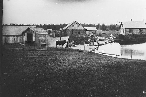 rs03120