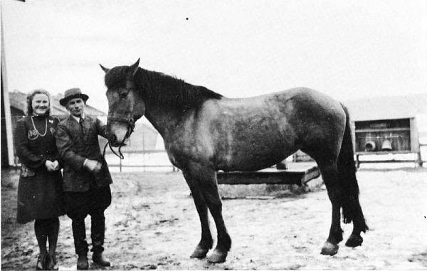 rs00459