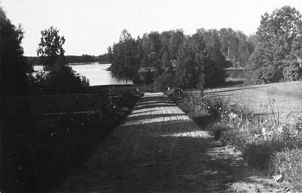 rs00015