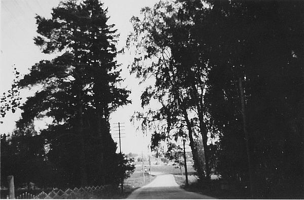 rs01734