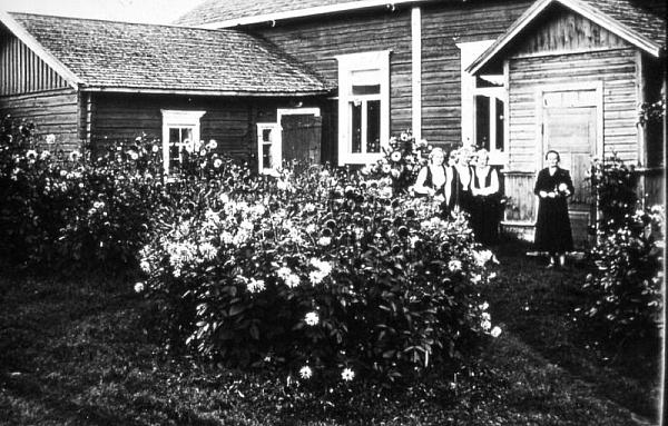 rs02465