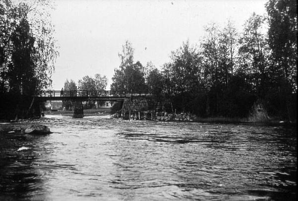 rs02408