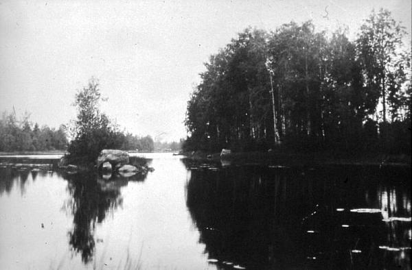 rs02418