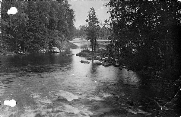 rs01214