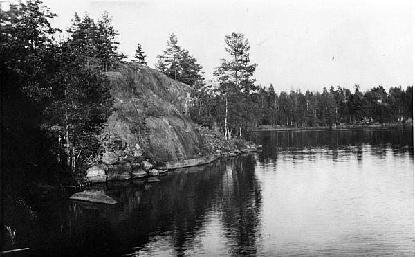 rs01215