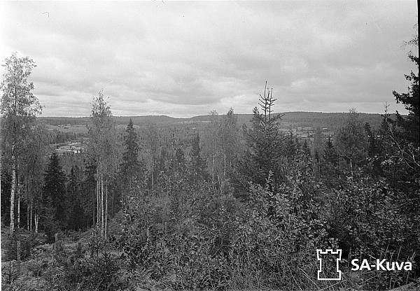 rs02145