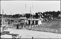 rs03169