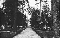 rs00135