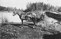 rs00450