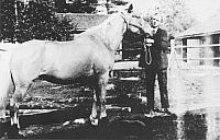 rs00457