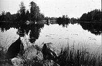 rs02419