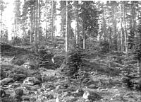 rs02370