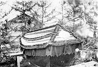 rs01933