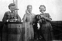 rs01667