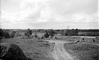 rs01206