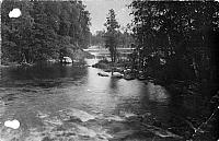 rs01214