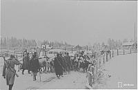 rs03193