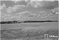 rs02117