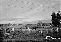 rs02131