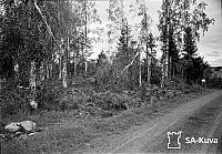 rs02141