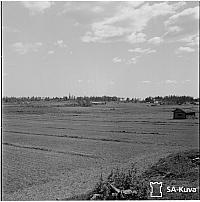rs02192