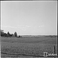 rs02194