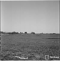 rs02195
