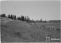 rs02204