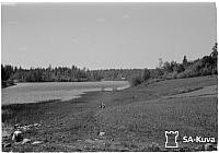 rs02206