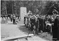 rs03201