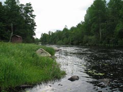 vuoksea
